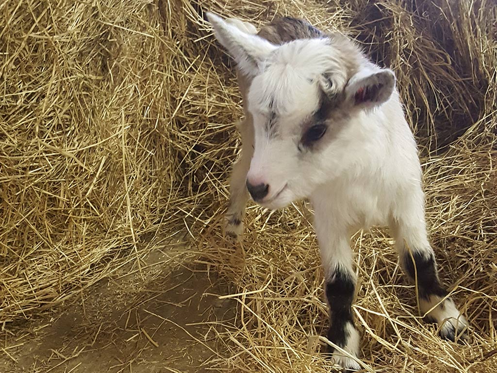 Originale et mignonne !