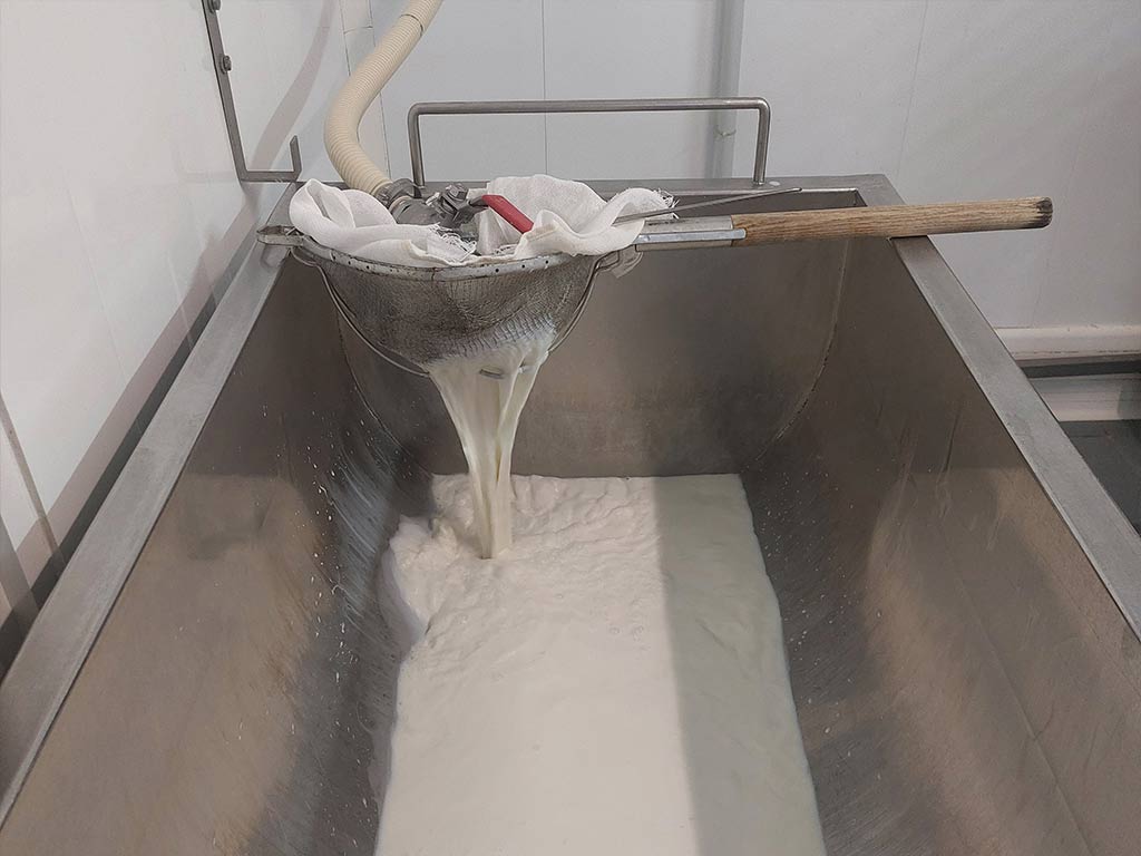 Filtrage du lait de chèvre à l'emprésurage
